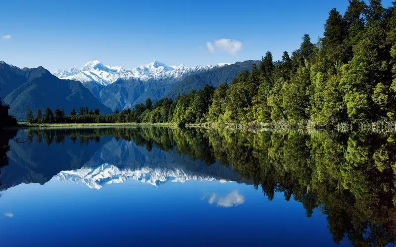 新型创新创新